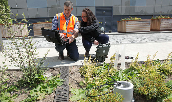 Sustainable drainage planting and monitoring at Newcastle Helix